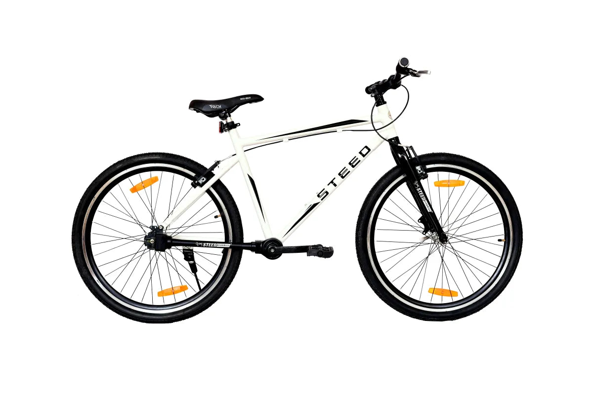 Buy Bicycle Online Steed SR-48 Single peed Rigid Fork