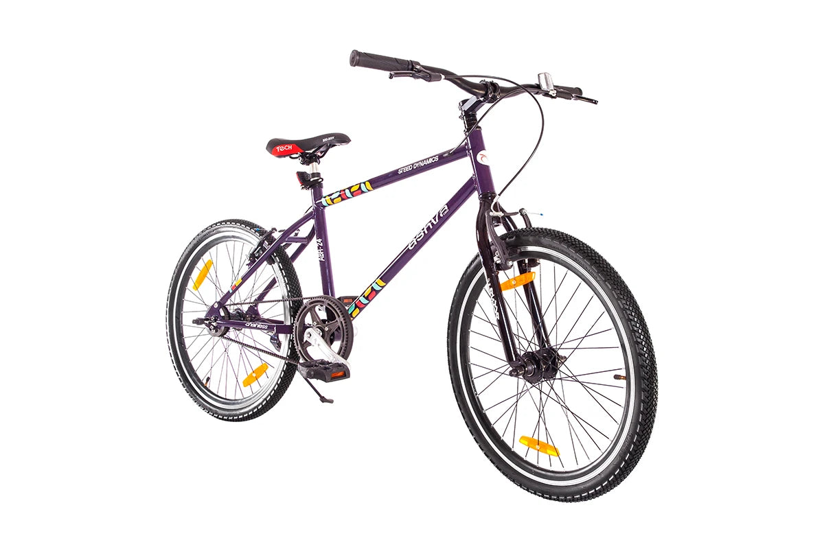 buy Steed Bicycle Abr 24 Ashva Belt Drive with Rigid Fork Plum
