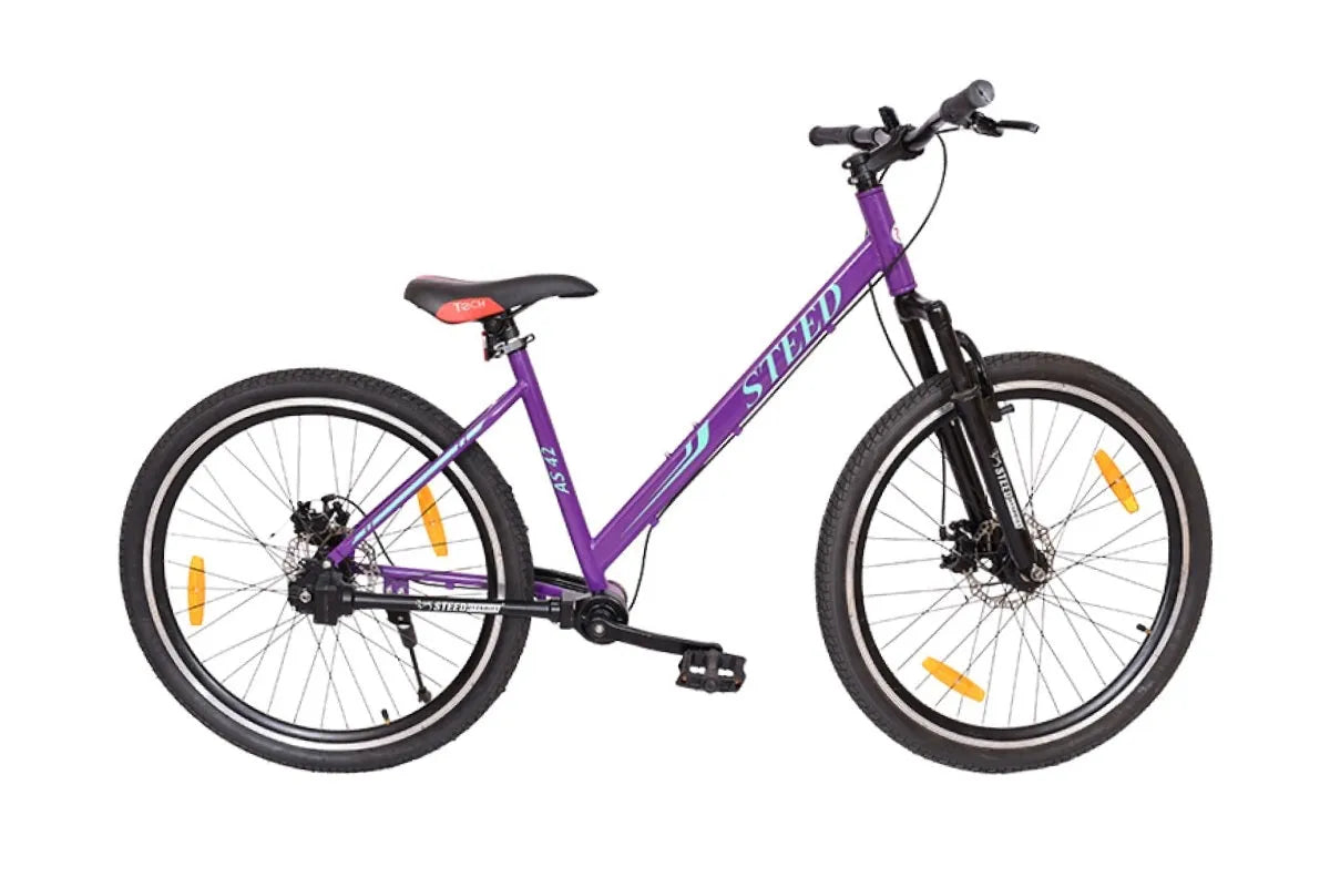 AS 42-STEED SINGLE SPEED-SUSPENSION FORK