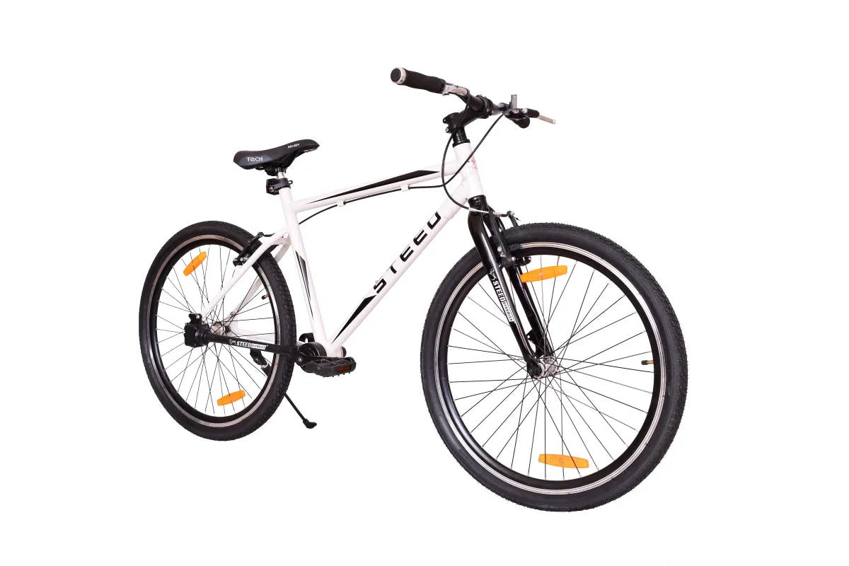 Buy Single Speed Bicycle Online Steed SR-48 Rigid fork