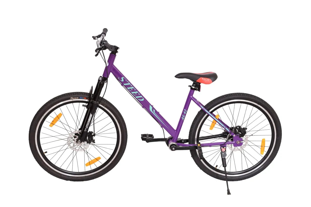 AS 42-STEED SINGLE SPEED-SUSPENSION FORK