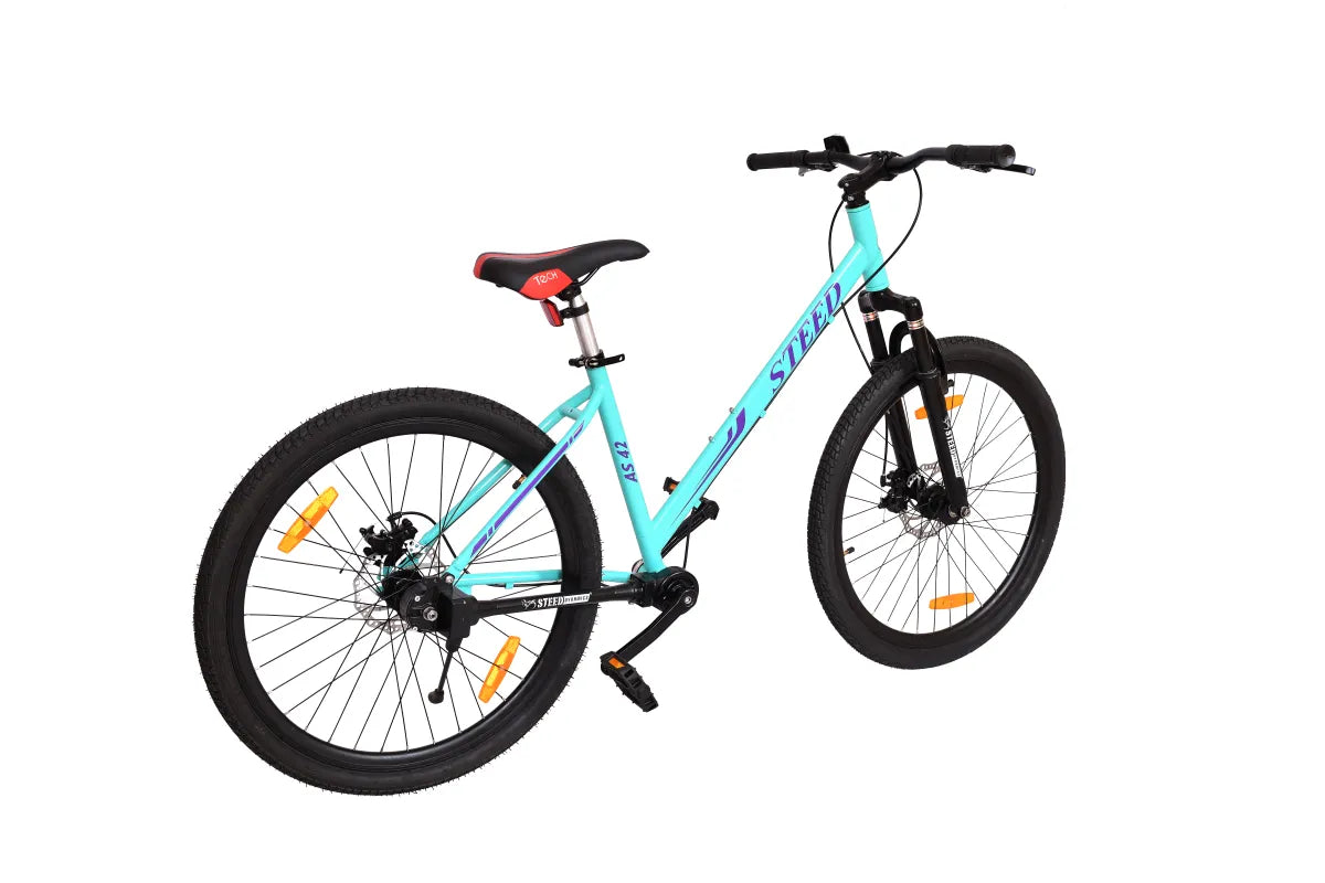 AS 42-STEED SINGLE SPEED-SUSPENSION FORK