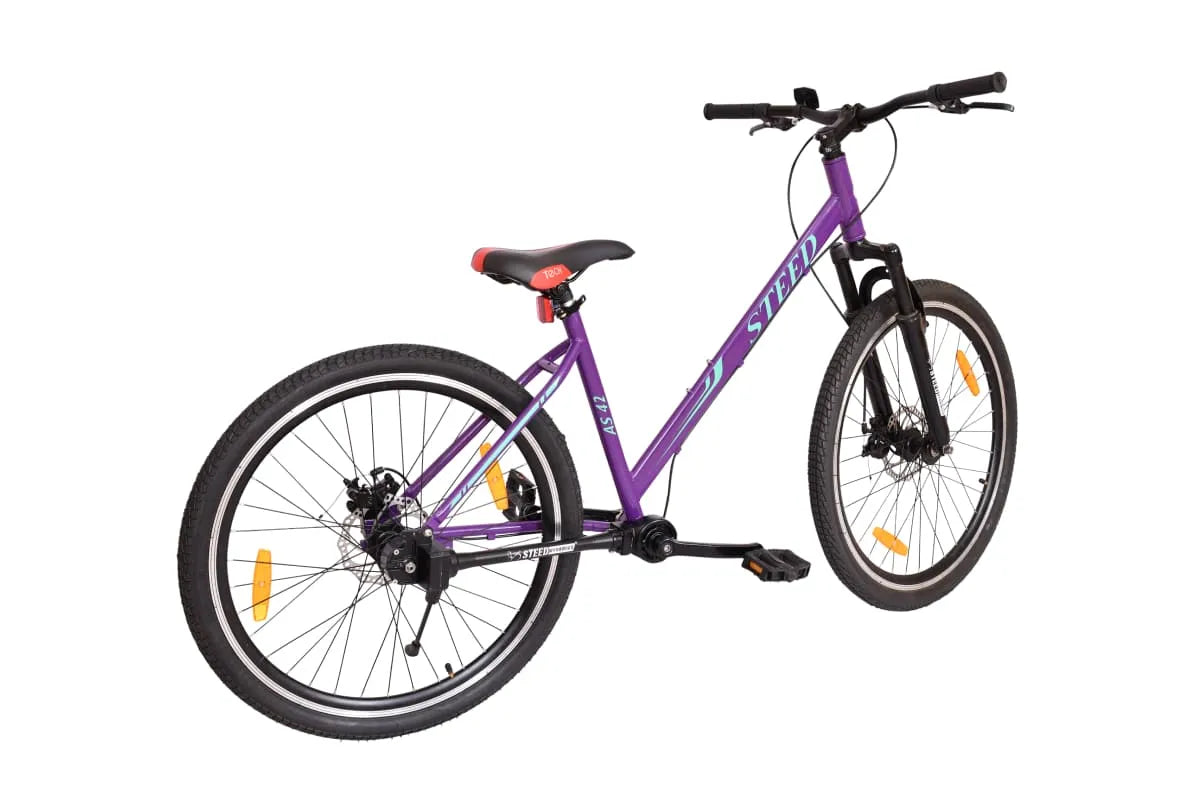 AS 42-STEED SINGLE SPEED-SUSPENSION FORK
